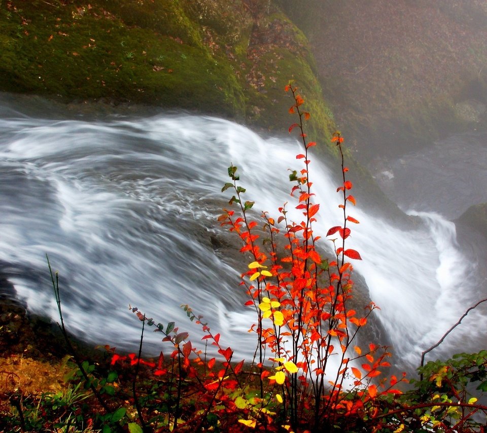Обои река, листья, водопад, осень, river, leaves, waterfall, autumn разрешение 1920x1440 Загрузить