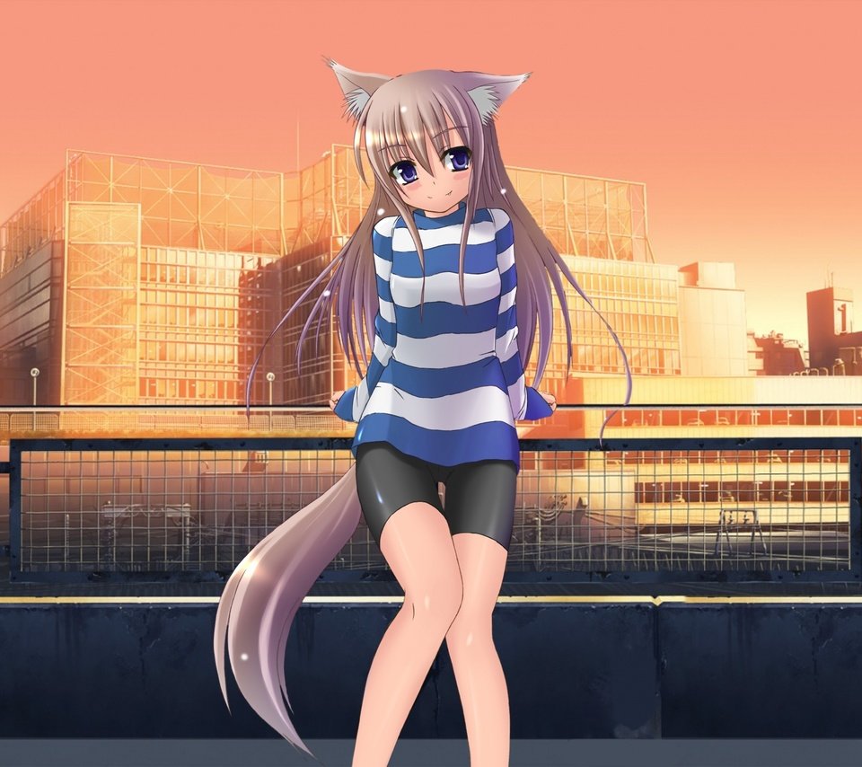 Обои город, ножки, ушки, лисичка, хвостик, the city, legs, ears, fox, ponytail разрешение 2000x1423 Загрузить