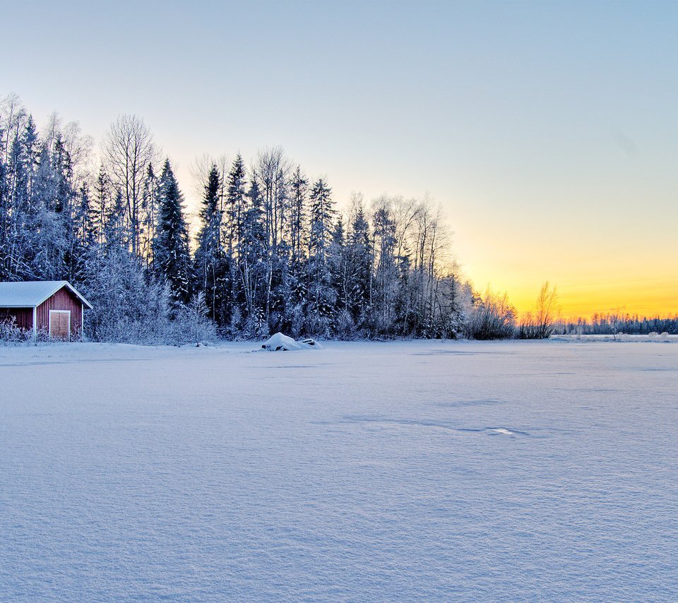 Обои лес, зима, домик, forest, winter, house разрешение 2560x1600 Загрузить