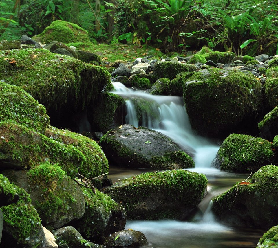 Обои камни, зелень, ручей, водопад, stones, greens, stream, waterfall разрешение 2560x1600 Загрузить