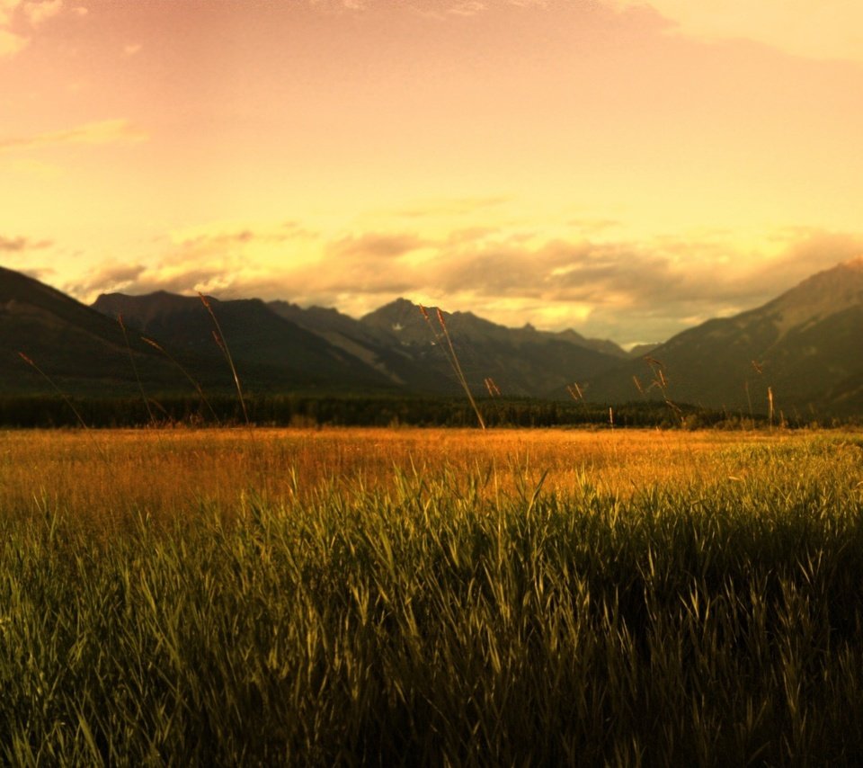 Обои горы, восход, поле, mountains, sunrise, field разрешение 1920x1200 Загрузить