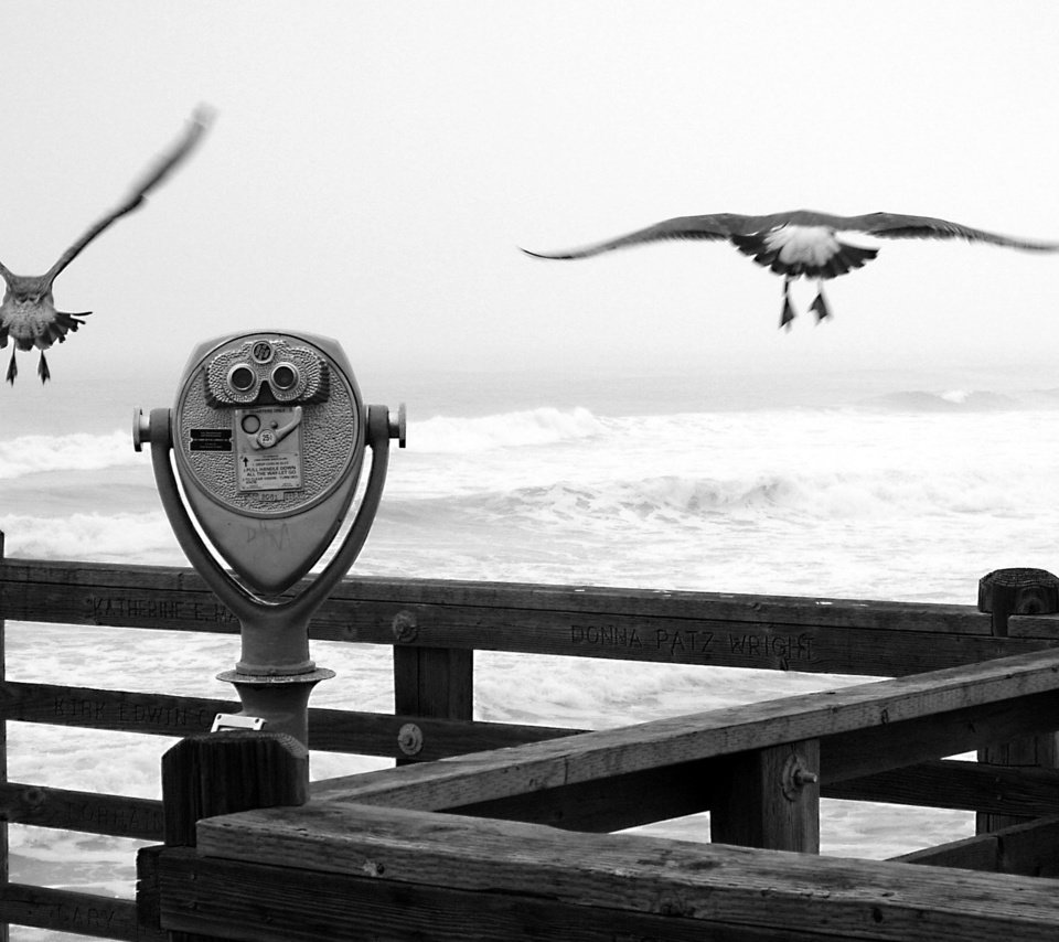 Обои причал, черно-белая, чайки, бинокль, pier, black and white, seagulls, binoculars разрешение 2560x1600 Загрузить