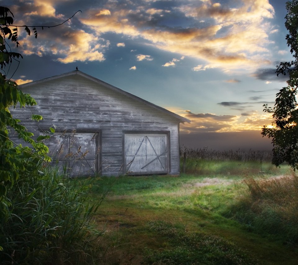 Обои небо, поле, амбар, ворона, the sky, field, the barn, crow разрешение 2560x1600 Загрузить