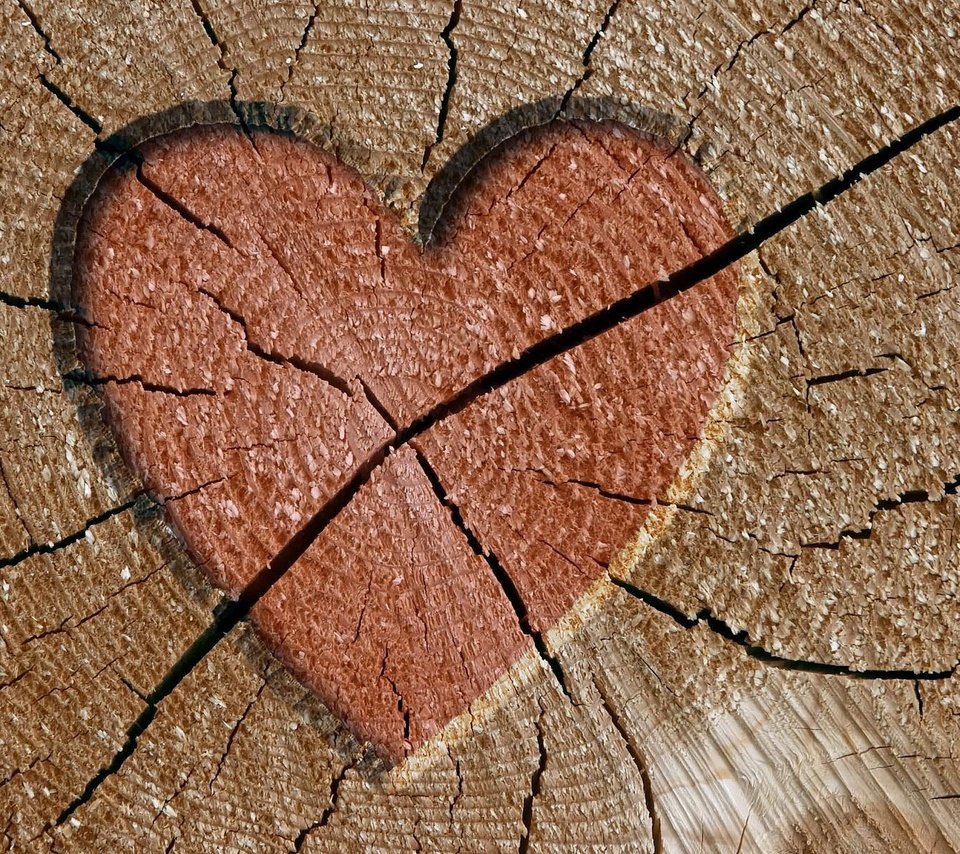 Обои дерево, сердце, трещины, tree, heart, cracked разрешение 1920x1200 Загрузить