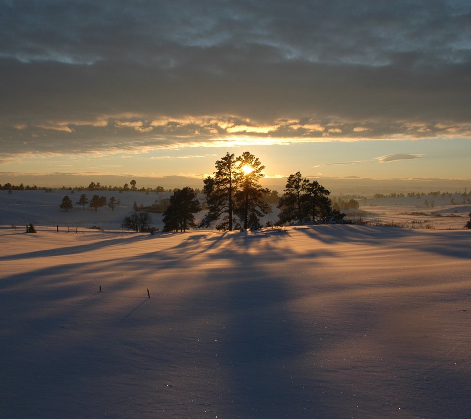 Обои деревья, снег, закат, зима, trees, snow, sunset, winter разрешение 1920x1200 Загрузить
