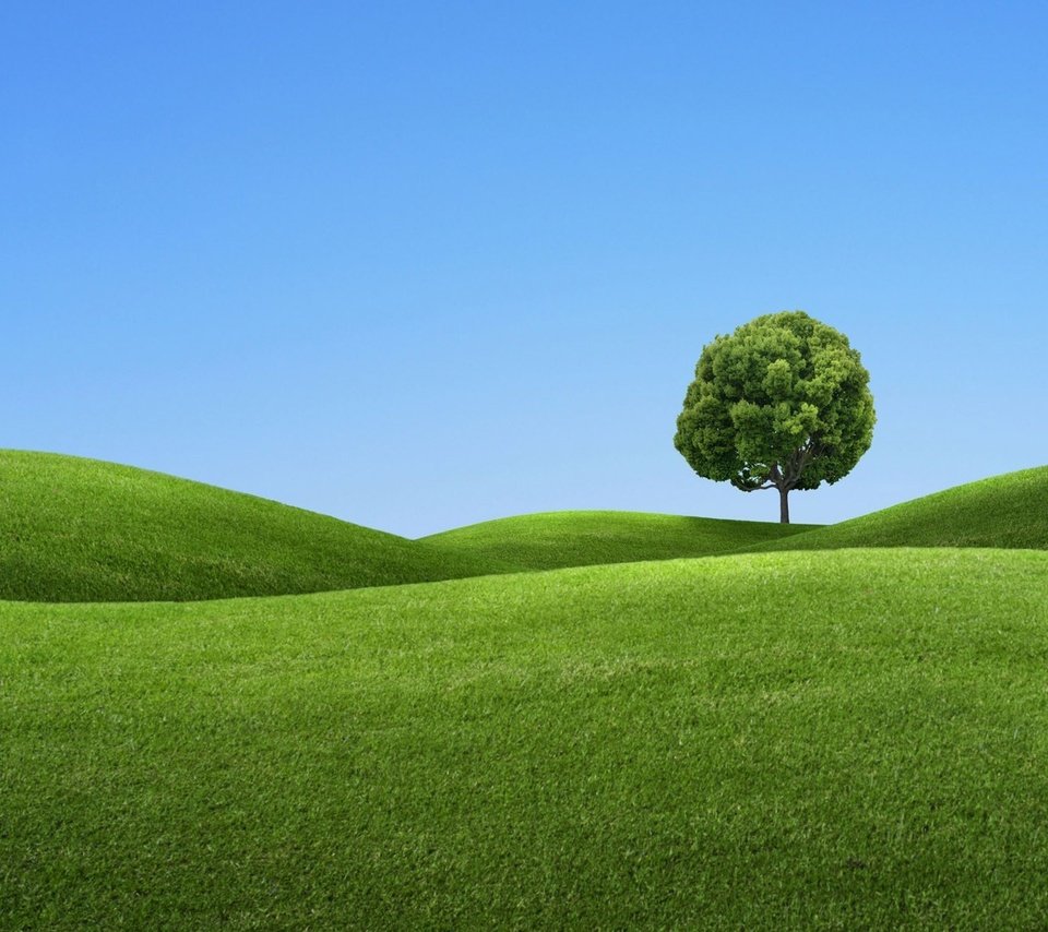 Обои холмы, дерево, зелёный, синий, hills, tree, green, blue разрешение 1920x1200 Загрузить