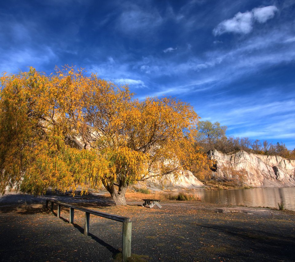 Обои небо, дерево, осень, новая зеландия, the sky, tree, autumn, new zealand разрешение 2560x1600 Загрузить