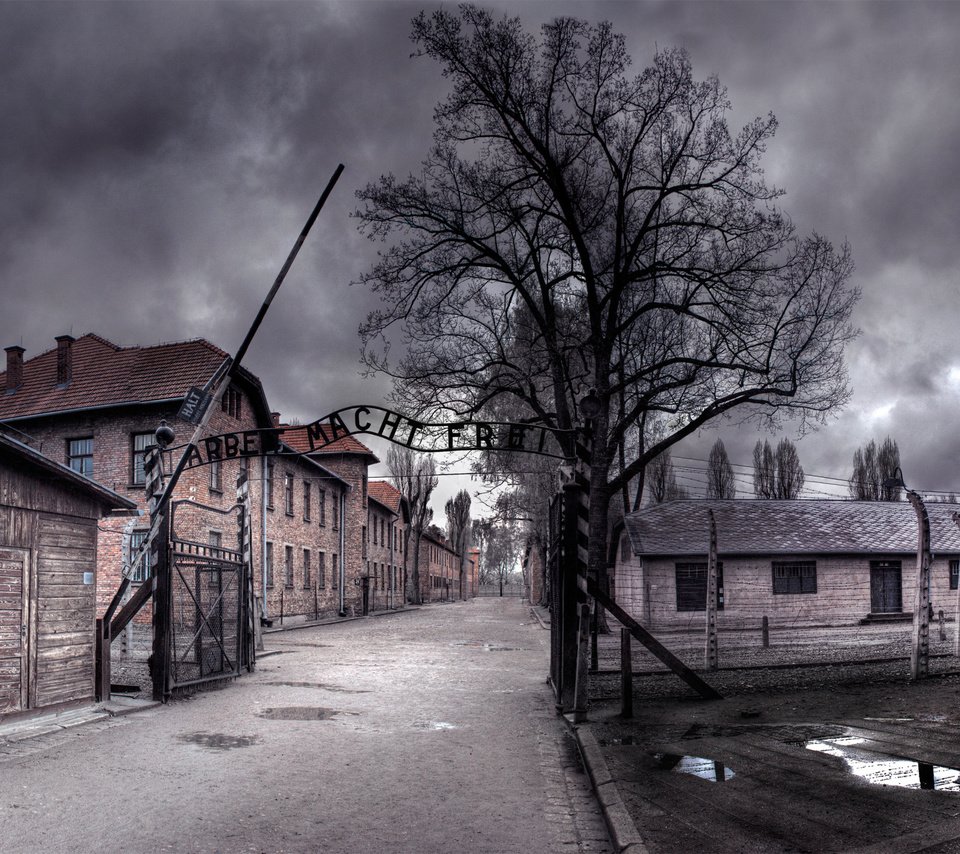 Обои нуар, освенцим, труд делает свободным, noir, auschwitz, work makes you free разрешение 2560x1600 Загрузить