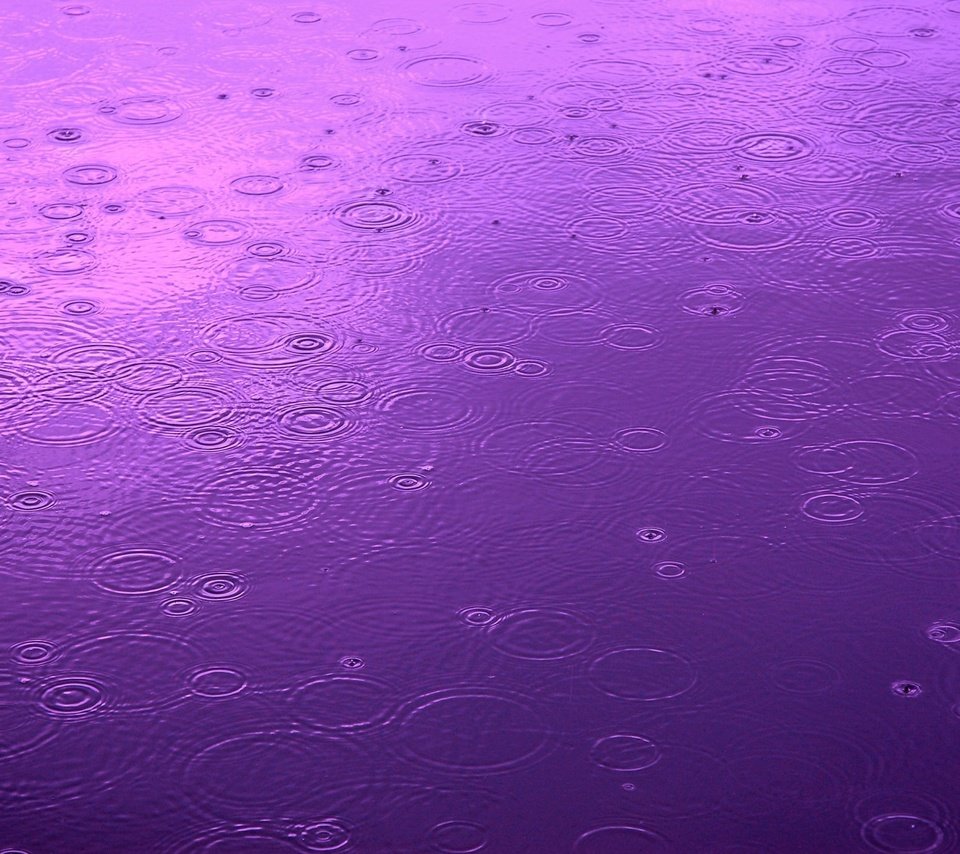 Обои вода, капли, цвет, круги, дождь, water, drops, color, circles, rain разрешение 1920x1440 Загрузить