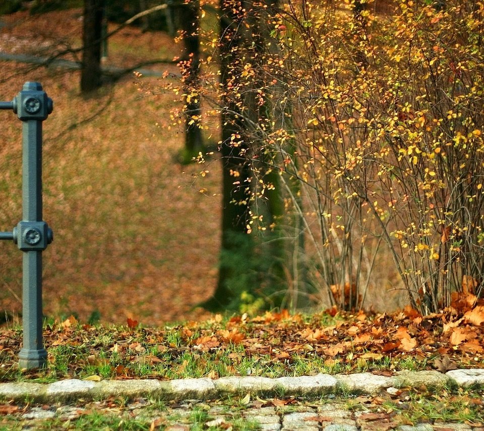 Обои камни, листья, осень, куст, stones, leaves, autumn, bush разрешение 1920x1440 Загрузить