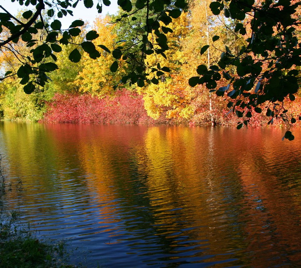 Обои река, природа, осень, river, nature, autumn разрешение 3671x2468 Загрузить