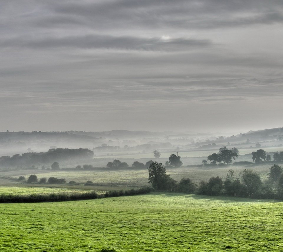 Обои деревья, поля, туман, trees, field, fog разрешение 1920x1440 Загрузить