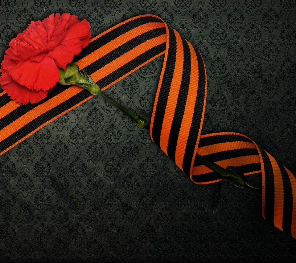 Обои день победы, георгиевская лента, 9 мая, гвоздика, victory day, st. george ribbon, may 9, carnation разрешение 1920x1200 Загрузить