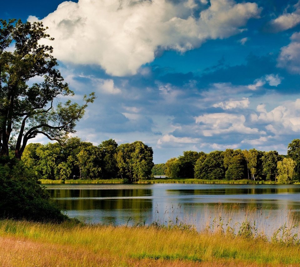 Обои небо, трава, вода, река, природа, дерево, обои, пейзаж, the sky, grass, water, river, nature, tree, wallpaper, landscape разрешение 1920x1200 Загрузить