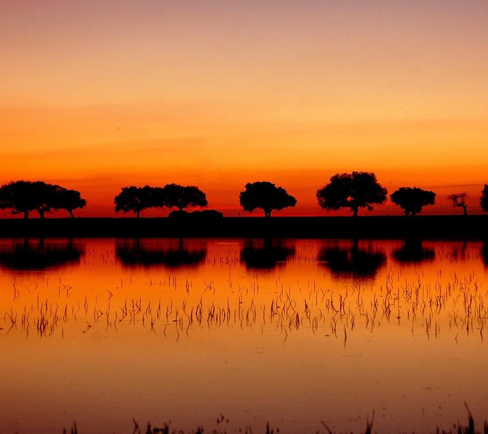 Обои деревья, озеро, закат, отражение, trees, lake, sunset, reflection разрешение 1920x1200 Загрузить