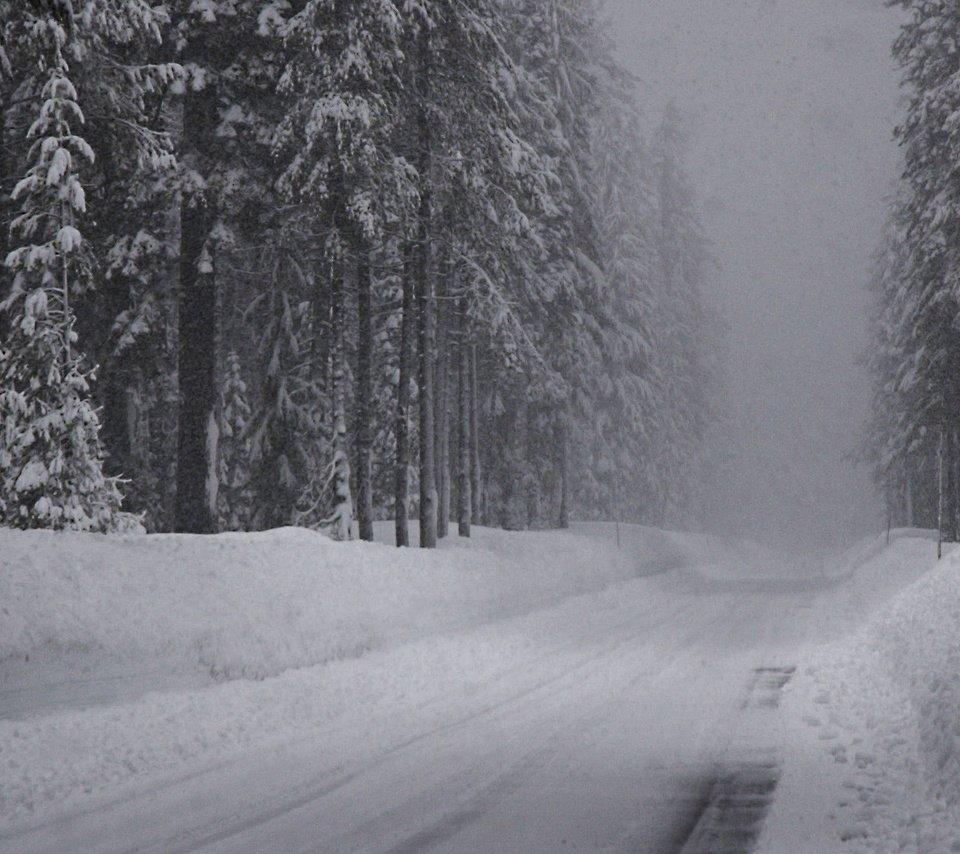 Обои дорога, снег, зима, ельник, road, snow, winter, spruce forest разрешение 2560x1024 Загрузить