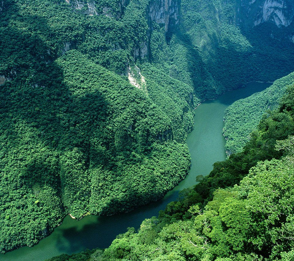 Обои река, горы, лес, зелёный, ущелье, мексика, river, mountains, forest, green, gorge, mexico разрешение 1920x1200 Загрузить