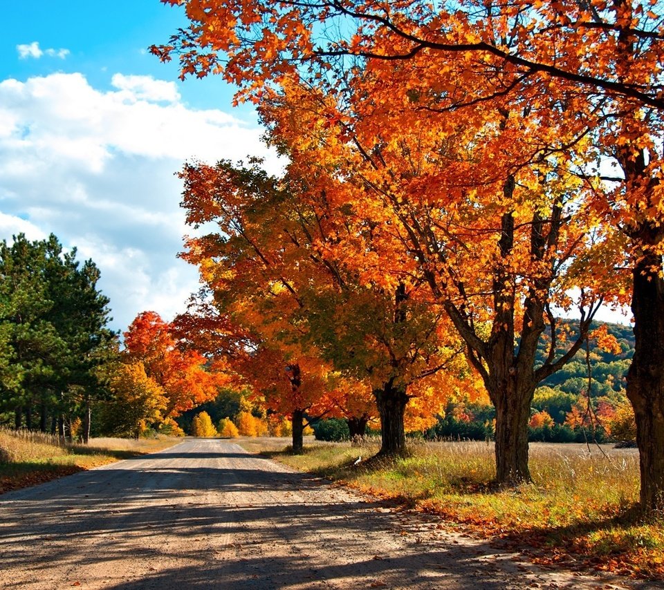 Обои дорога, деревья, лес, осень, краски осени, road, trees, forest, autumn, the colors of autumn разрешение 1920x1200 Загрузить