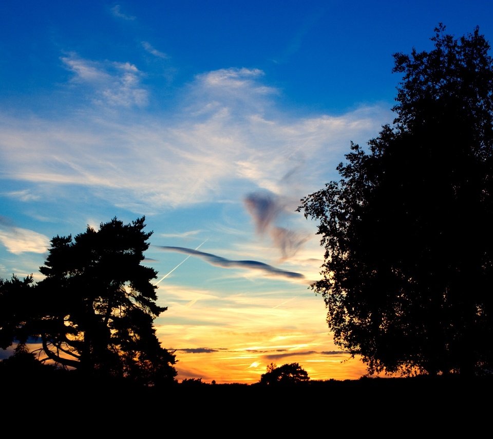 Обои небо, деревья, закат, the sky, trees, sunset разрешение 1920x1080 Загрузить