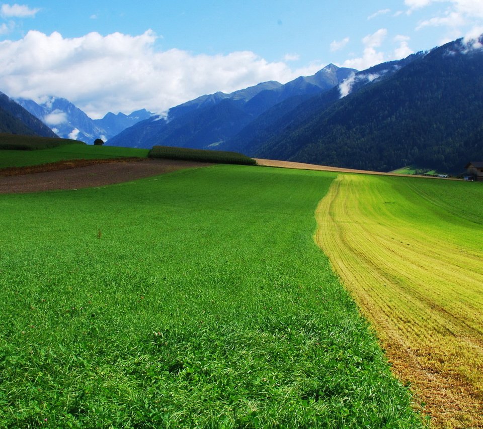 Обои небо, дорога, трава, горы, поле, the sky, road, grass, mountains, field разрешение 1920x1200 Загрузить