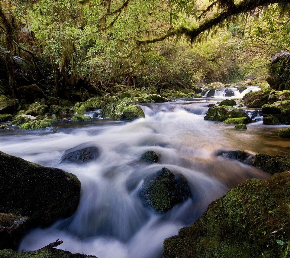 Обои река, камни, лес, river, stones, forest разрешение 2560x1600 Загрузить