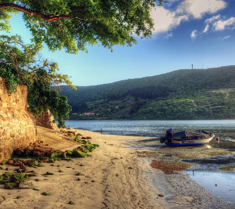 Обои деревья, вода, река, природа, берег, пейзаж, песок, лодка, trees, water, river, nature, shore, landscape, sand, boat разрешение 2560x1600 Загрузить