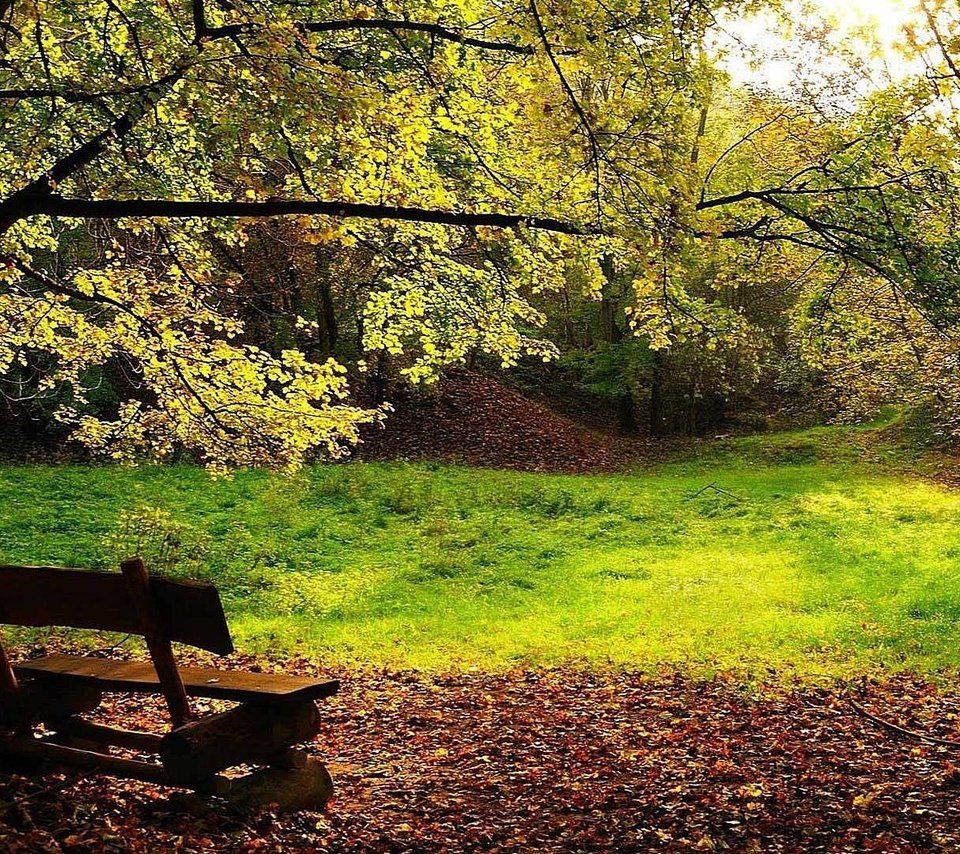 Обои деревья, листва, осень, скамейка, trees, foliage, autumn, bench разрешение 1920x1080 Загрузить