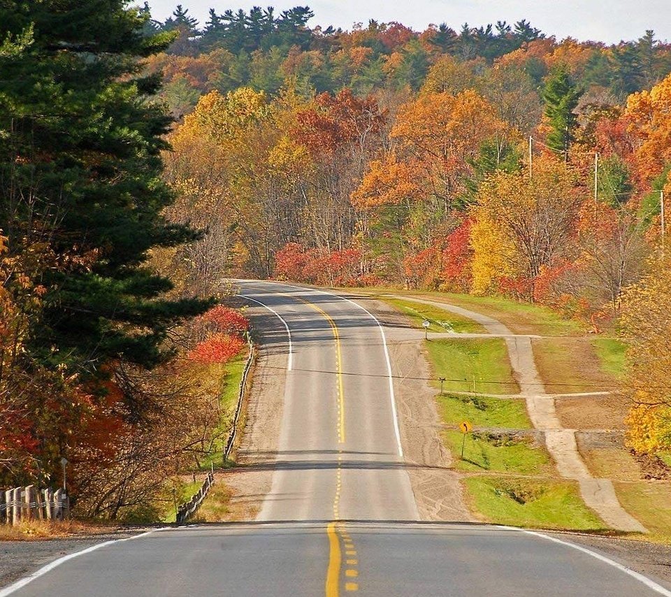 Обои дорога, деревья, лес, осень, road, trees, forest, autumn разрешение 1920x1080 Загрузить