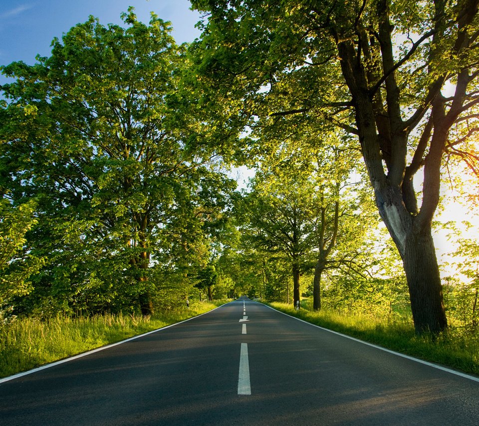 Обои дорога, деревья, листва, лето, разметка, road, trees, foliage, summer, markup разрешение 1920x1200 Загрузить