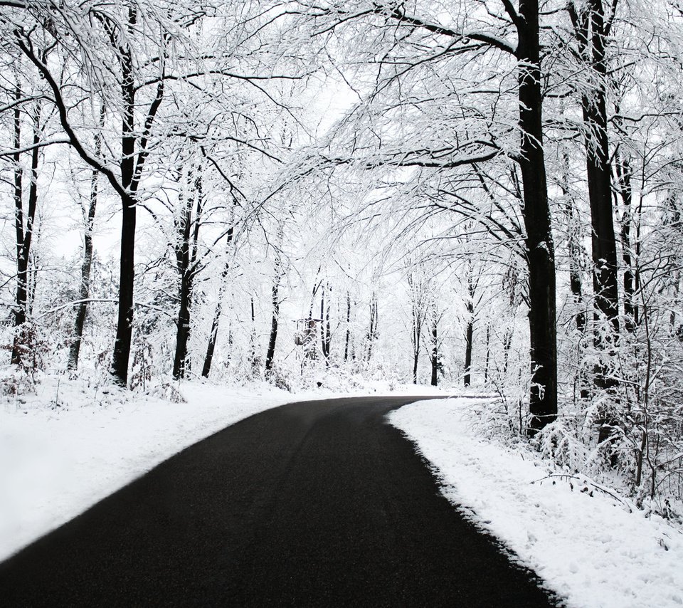 Обои дорога, деревья, снег, зима, иней, road, trees, snow, winter, frost разрешение 1920x1200 Загрузить