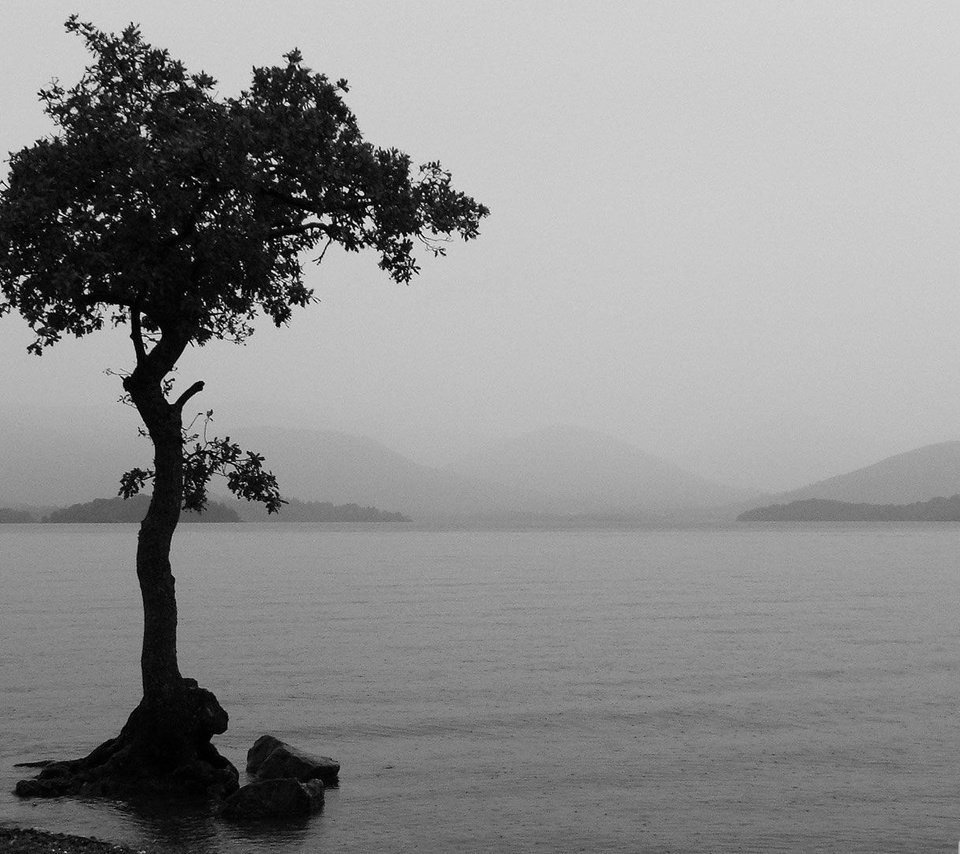 Обои озеро, природа, дерево, пейзаж, туман, чёрно-белое, lake, nature, tree, landscape, fog, black and white разрешение 1920x1080 Загрузить