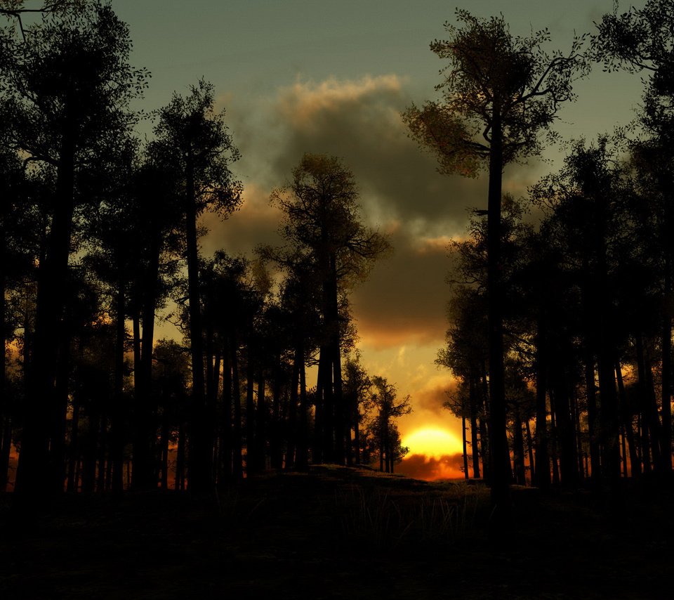 Обои деревья, вечер, лес, закат, тучи, закат солнца, лез, trees, the evening, forest, sunset, clouds, les разрешение 2560x1600 Загрузить