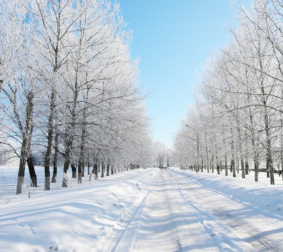 Обои дорога, деревья, снег, лес, зима, даль, road, trees, snow, forest, winter, dal разрешение 1920x1080 Загрузить