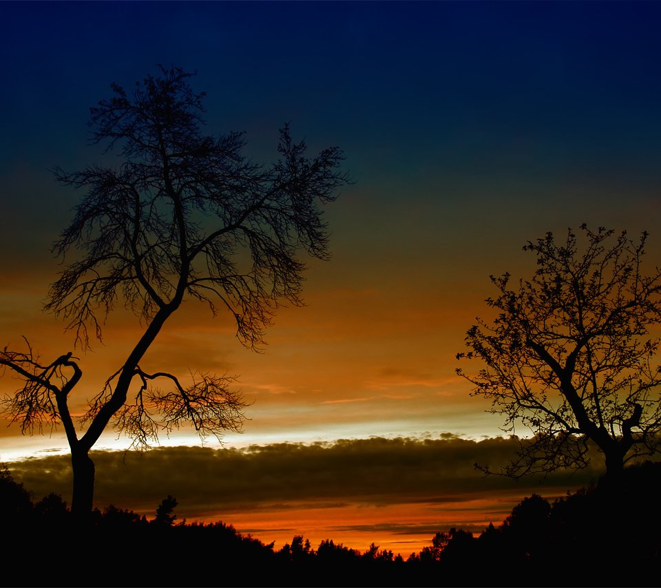 Обои небо, деревья, вечер, природа, закат, пейзаж, the sky, trees, the evening, nature, sunset, landscape разрешение 1920x1200 Загрузить