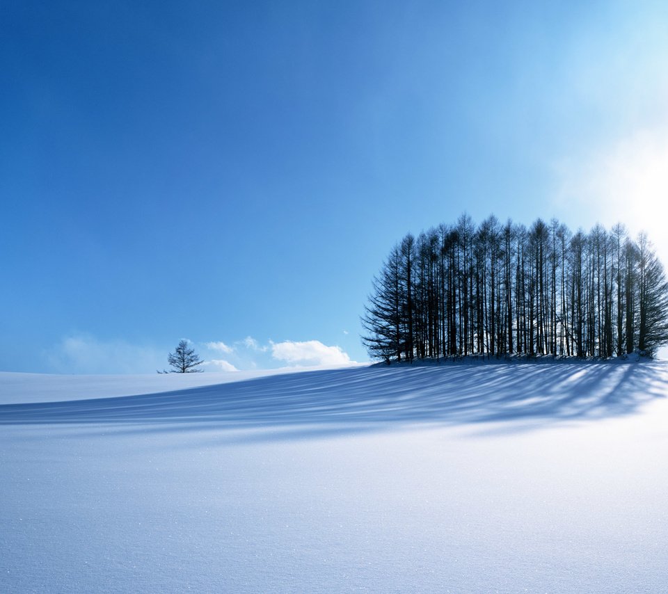 Обои небо, дорога, деревья, горы, солнце, снег, зима, the sky, road, trees, mountains, the sun, snow, winter разрешение 1920x1200 Загрузить