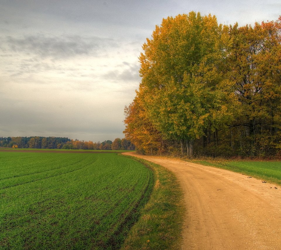 Обои дорога, road разрешение 1920x1200 Загрузить