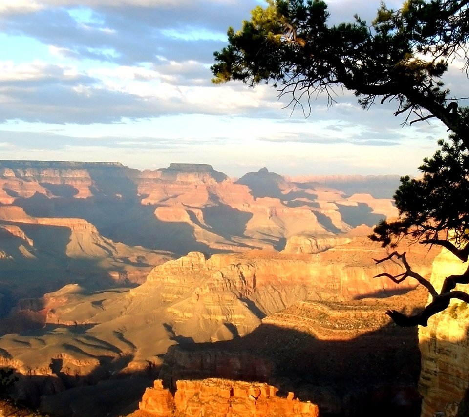 Обои дерево, день, каньон, высота, тени, солнечный свет, tree, day, canyon, height, shadows, sunlight разрешение 1920x1080 Загрузить