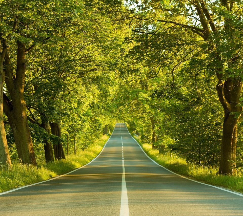 Обои дорога, деревья, весна, road, trees, spring разрешение 1920x1440 Загрузить
