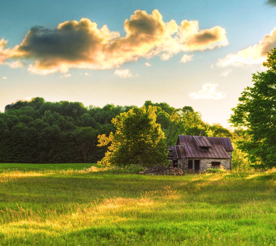 Обои небо, трава, облака, лес, лето, поляна, домик, the sky, grass, clouds, forest, summer, glade, house разрешение 2560x1600 Загрузить