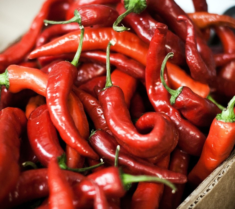 Обои еда, красный, чили, перец, овощи.перец, food, red, chile, pepper, vegetables.pepper разрешение 2560x1706 Загрузить