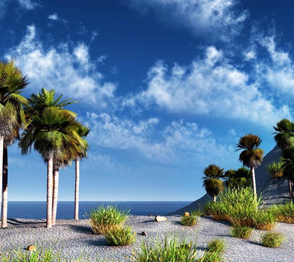 Обои небо, море, пальмы, the sky, sea, palm trees разрешение 2048x1280 Загрузить