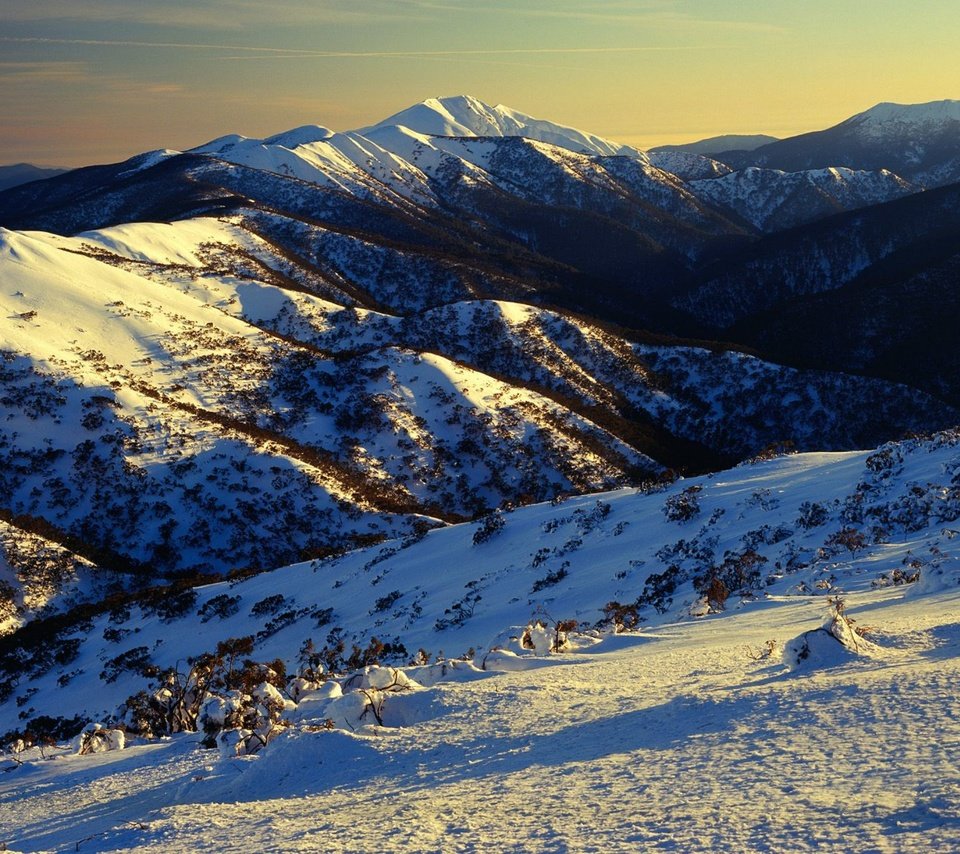 Обои горы, снег, склоны, австралия, растительность, mountains, snow, the slopes, australia, vegetation разрешение 1920x1440 Загрузить