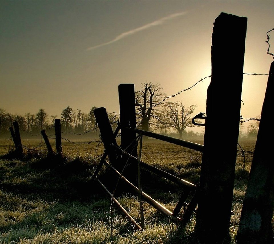 Обои свет, трава, утро, проволока, забор, ограждение, заморозки, light, grass, morning, wire, the fence, freezing разрешение 1920x1080 Загрузить