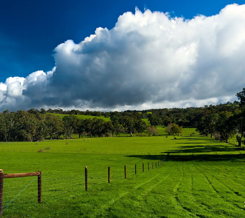 Обои трава, облака, зелень, поле, забор, следы, пастбище, grass, clouds, greens, field, the fence, traces, pasture разрешение 1920x1200 Загрузить