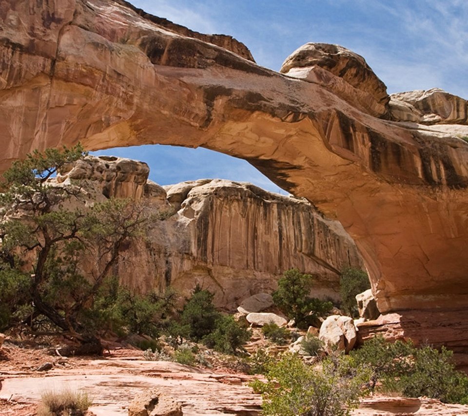 Обои скалы, каньон, арка, capitol reef national park, rocks, canyon, arch разрешение 1920x1080 Загрузить