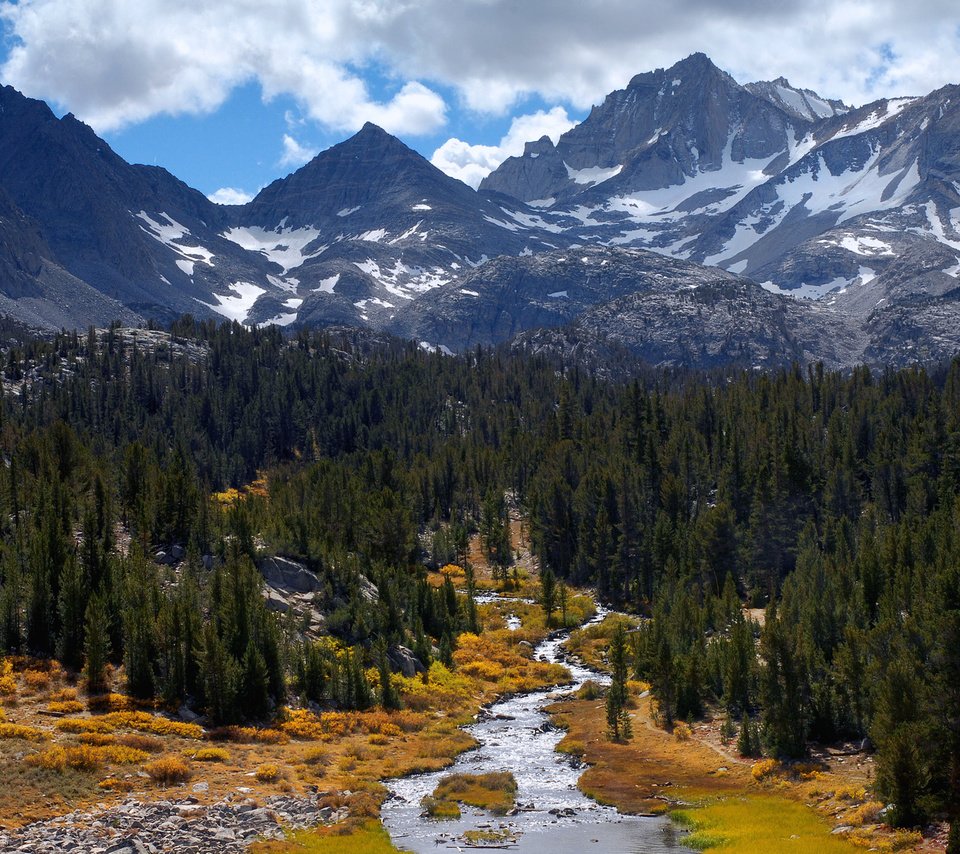 Обои деревья, река, горы, природа, лес, пейзаж, trees, river, mountains, nature, forest, landscape разрешение 1920x1200 Загрузить