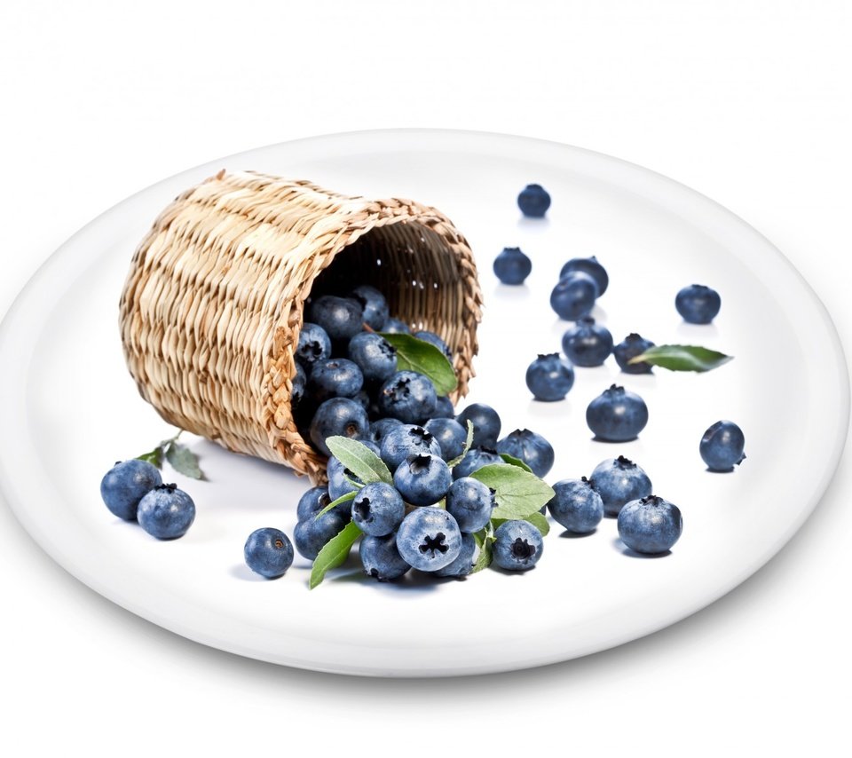 Обои ягоды, белый фон, черника, тарелка, туесок, berries, white background, blueberries, plate, tuesok разрешение 1920x1200 Загрузить