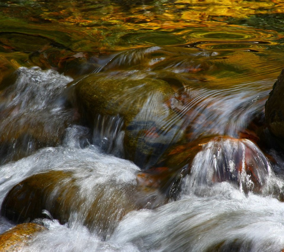 Обои вода, камни, ручей, поток, water, stones, stream разрешение 1920x1200 Загрузить