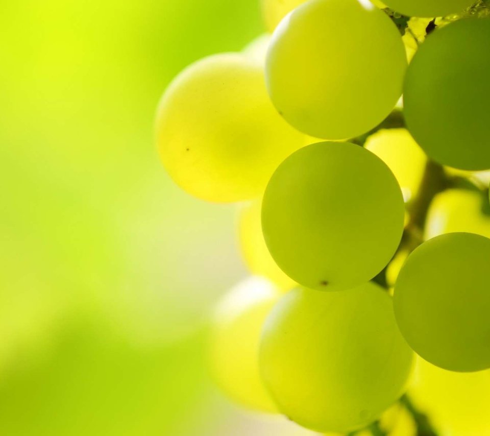 Обои свет, макро, виноград, гроздь, виноградная гроздь, light, macro, grapes, bunch, a bunch of grapes разрешение 1920x1200 Загрузить