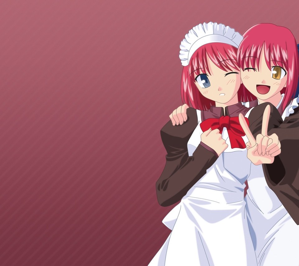 Обои вектор, shingetsutan tsukihime, hisui, kohaku, maid, близняшки, vector, twins разрешение 1920x1200 Загрузить